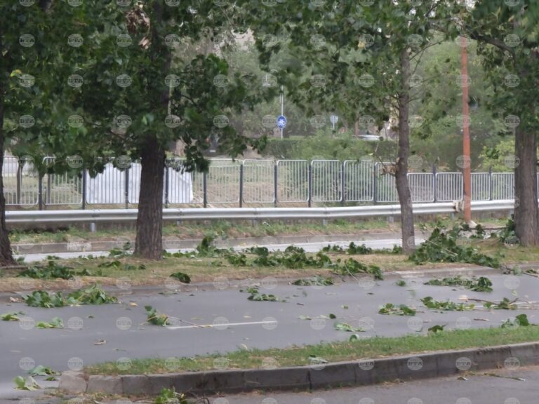 В Кюстендил са подадени над 20 сигнала за поражения от бурята, която връхлетя града