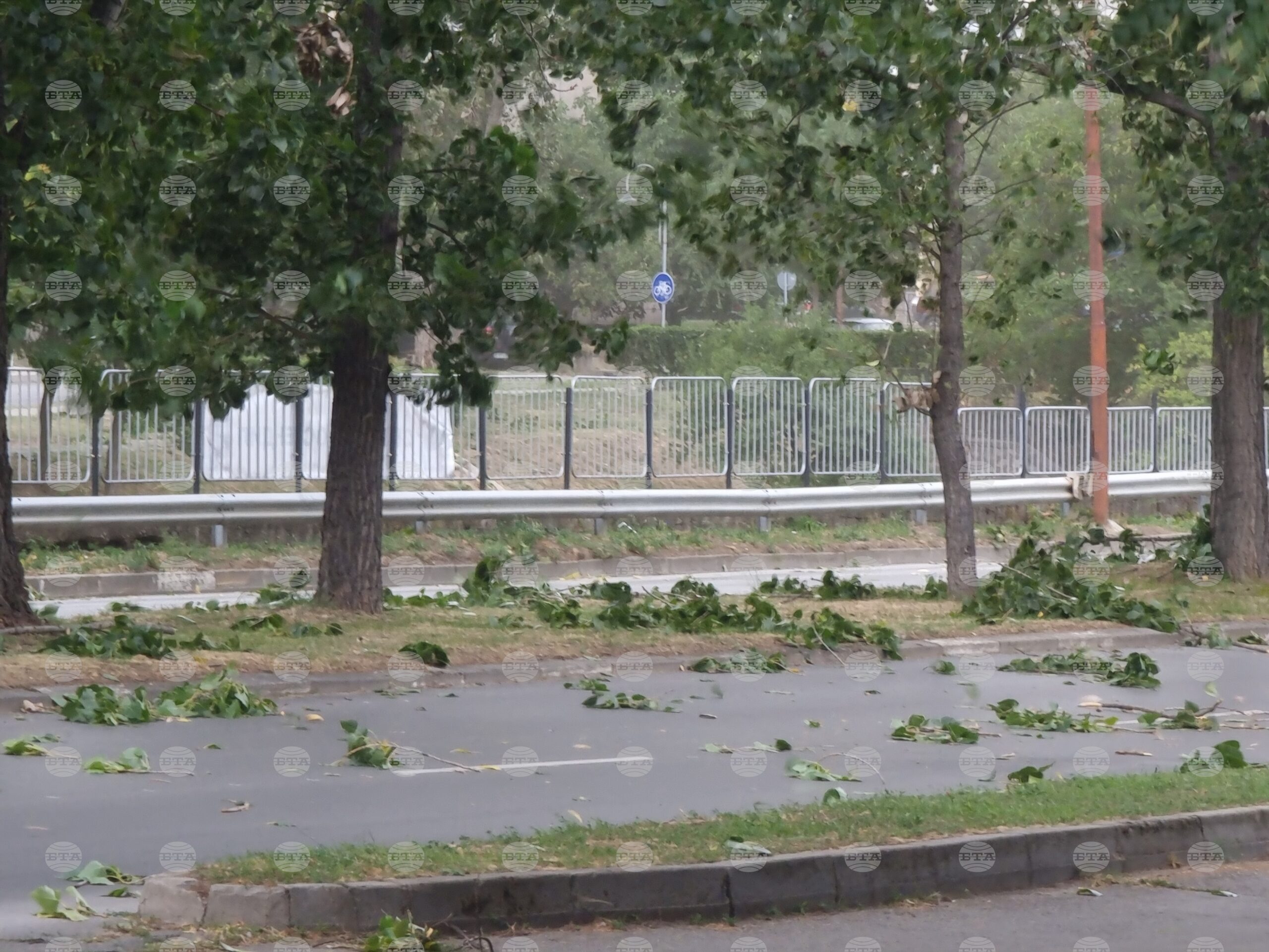 В Кюстендил са подадени над 20 сигнала за поражения от бурята, която връхлетя града