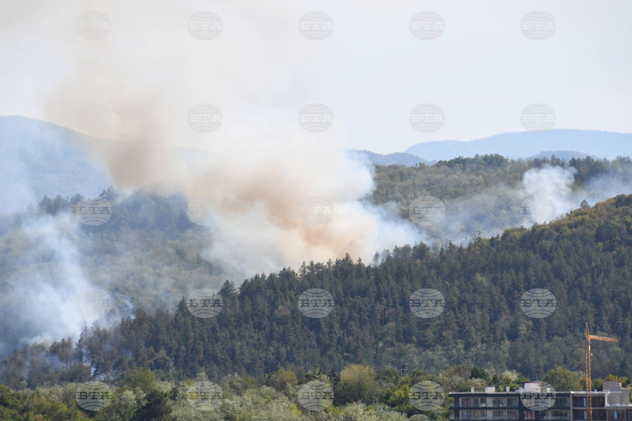 Горски пожар избухна близо до град Мугла в Югозападна Турция