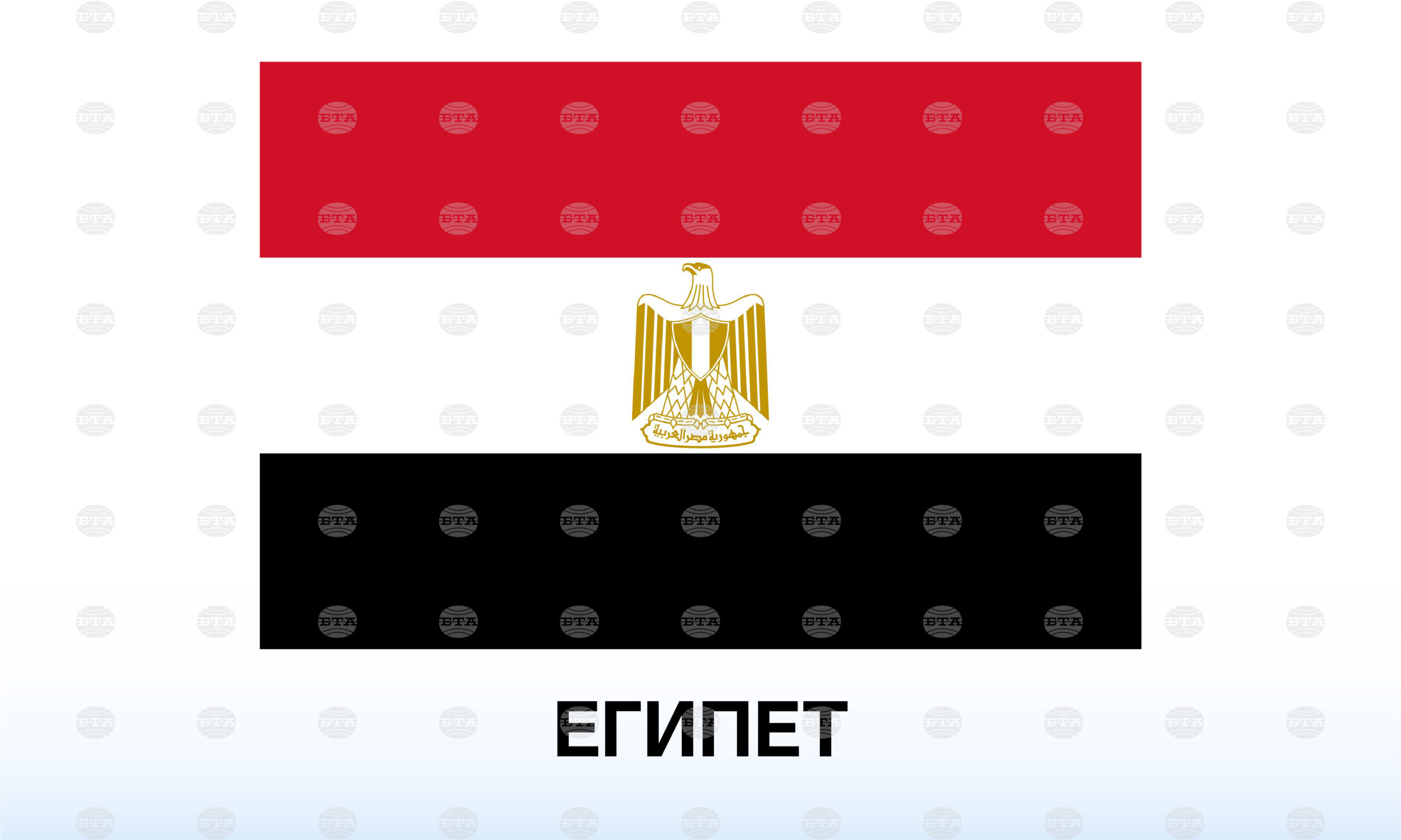 МЕНА: В Египет се създава производствена линия за едни от най-модерните артилерийски системи на света, съобщи министър